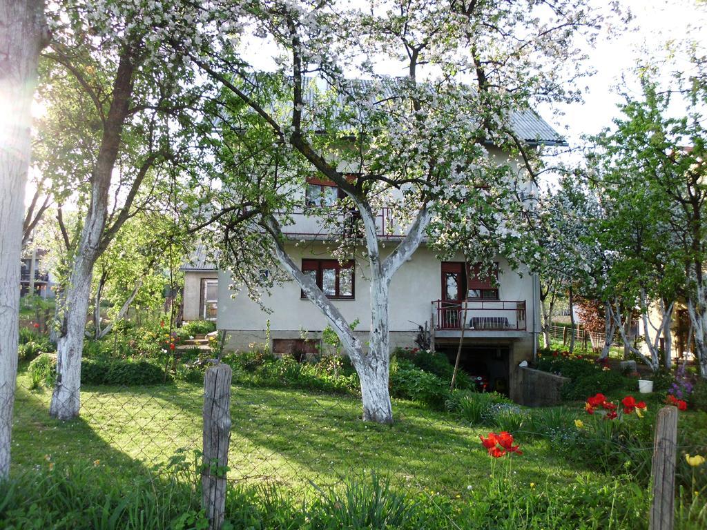 Guest House Krga Korenica Eksteriør billede